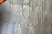 Halloween skeleton bundle