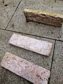 Bricks