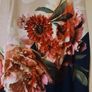 Oasis Lace Back Floral Placement Print Dress S16 Image 5