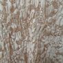 Kaliko Peach Lace top 16 Image 3
