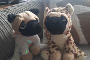 Pug soft toys