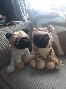 Pug soft toys