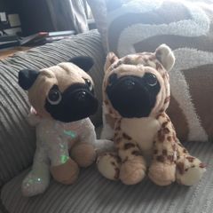 Pug soft toys
