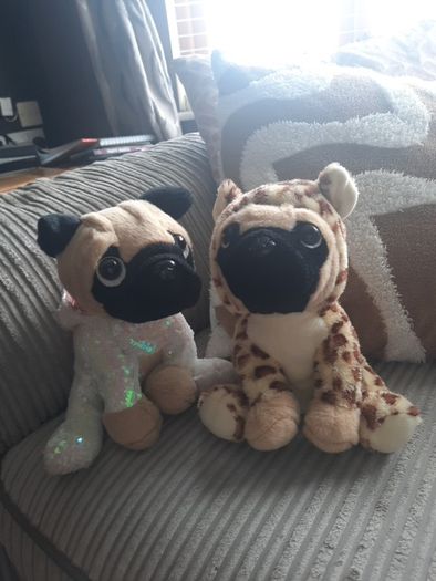 Pug soft toys