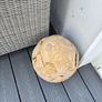 Decorative teak garden sphere Image 2