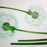 Wonderful Green and White Dandelion Flowers Wall Stickers DIY Removable Stick Paper Image 2