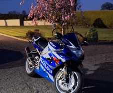 2001 Suzuki GSXR 1000