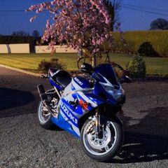 2001 Suzuki GSXR 1000