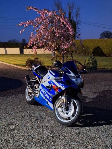 2001 Suzuki GSXR 1000