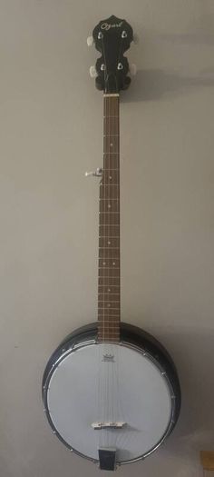 5 String banjo