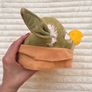 Star Wars Angry Birds Plush Master Yoda 2013 Used approx. 20 cm. Please see photos Image 4