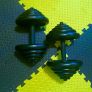 Cast iron dumbbells Image 2