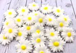 cake toppers sugar flowers