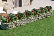Gabion Raised Bed Galvanised Iron 600x100x50 cm