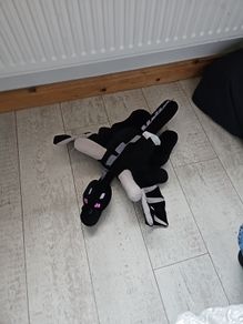 minecraft teddy