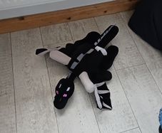 minecraft teddy