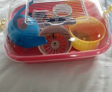 Hamster House