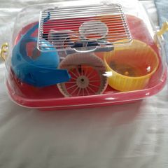 Hamster House