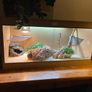4 ft Habistat Reptile Vivarium and accessories Image 3