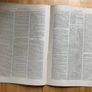 The Graphic newspaper Jan 21, 1871 Image 6