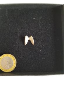 Angel Wings Charm