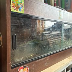 Terrarium Terrapod for Reptiles Turtoise