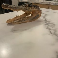 Authentic taxid head