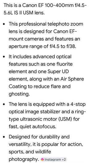 Canon EOS6D Mk2.  EF100-400 lens.