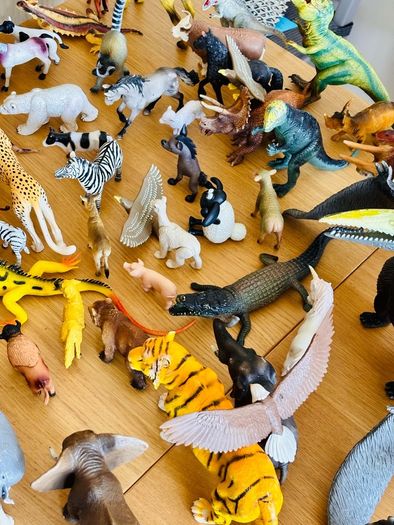 Animals