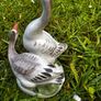 Mid-Century USSR Porcelain Sculpture Two Geese by Dmitry Gorlov Verbilki Export Mark DFZ Image 3