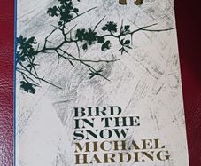 Michael Harding / Bird In The Snow / 2008/ Signed Dedication