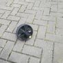 Ab Wheel Image 2