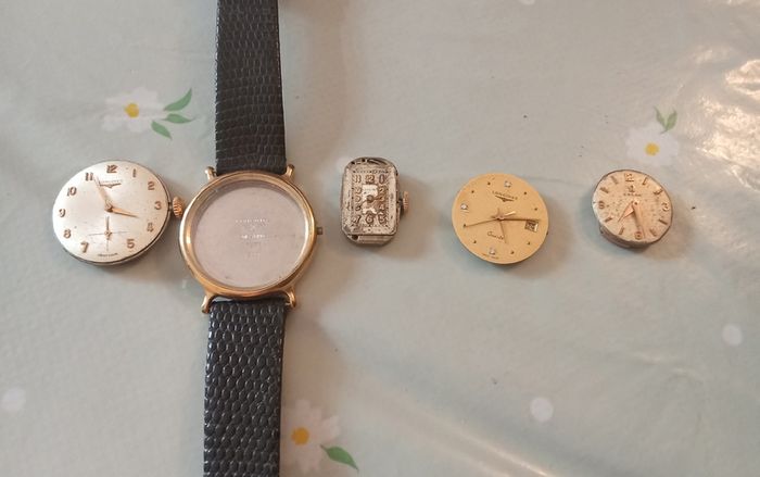 Ladies Longines watch case band and movements