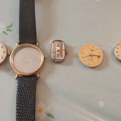 Ladies Longines watch case band and movements