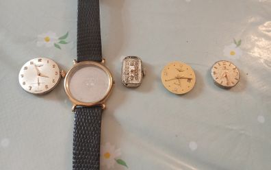 Ladies Longines watch case band and movements