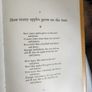 Runes And Rhyme And Tunes And Chimes By George Baker. Illustrated By George Adamson. First Edition Hardback With Dustjacket In Good Condition. Image 9