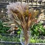 Boho dried flowers bouquet Image 3