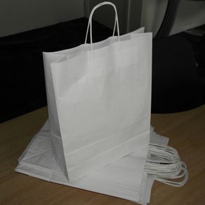 Lot of 10 White eco-friendly craft paper bags with twisted handle top quality size A3 32 x 12 x 41 cm