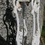 Antique Cast Iron Garden Decoration Image 6