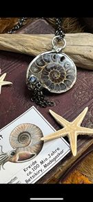 1 One of a Kind Ammonite Fossil Handcrafted Necklace