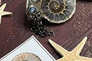 1 One of a Kind Ammonite Fossil Handcrafted Necklace