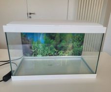 Ciano Fish Tank