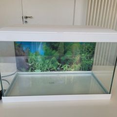 Ciano Fish Tank