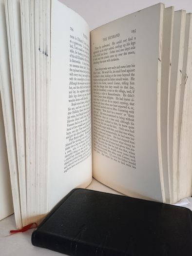 Vanessa: A Novel by Hugh Walpole (GT973)
