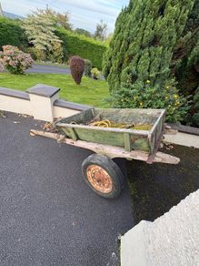 Ass Cart