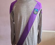 Limerick GAA Jumper - Large size