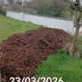 mushroom compost Image 3