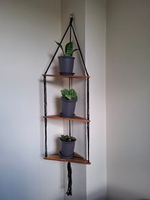 3 tier corner shelf with 3 plants