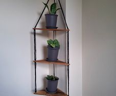 3 tier corner shelf with 3 plants