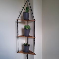 3 tier corner shelf with 3 plants